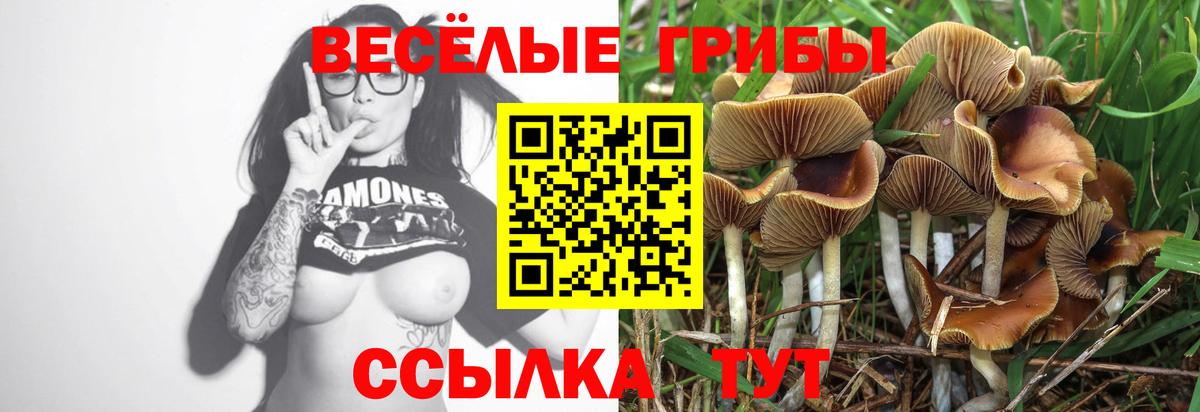Псилоцибиновые грибы MAGIC MUSHROOMS  Галлюциногенные грибы мухоморы  Медногорск  где продают наркотики  Вход с VPN 